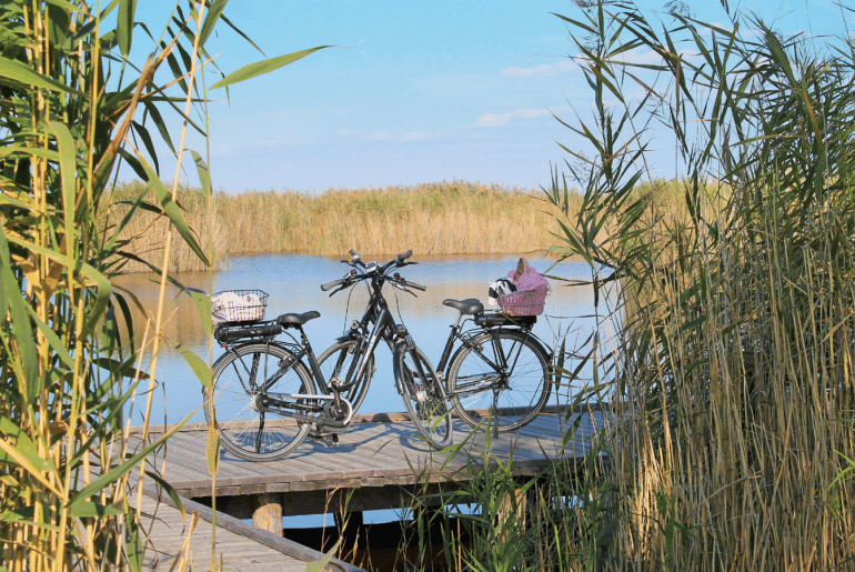 2 Räder am Neusiedlersee, FC Freistadt Rust-FahrRad Migschitz