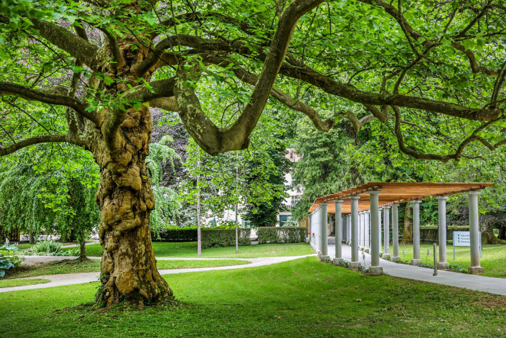 Terme Dobrna - Hotel Švicarija_Garten_FC_Terme Dobrna