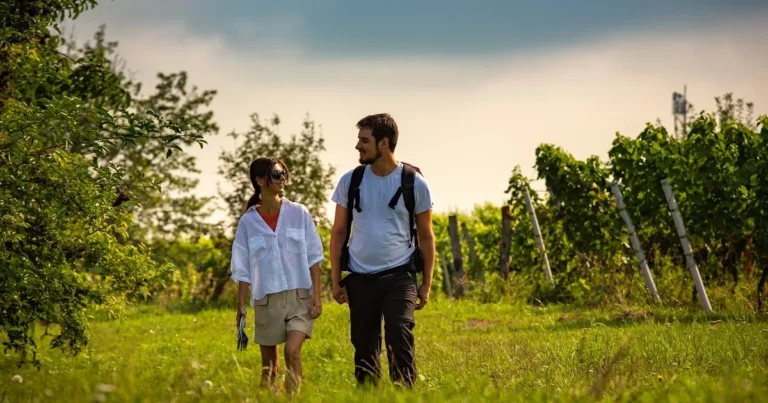 Pannonisch Wandern, FC Burgenland-Tourismus-GmbH, Andreas-Hafenscher