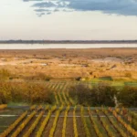 Seehotel Rust, Ruster Ausbruchweg, FC Burgenland Tourismus, Maria Hollunder
