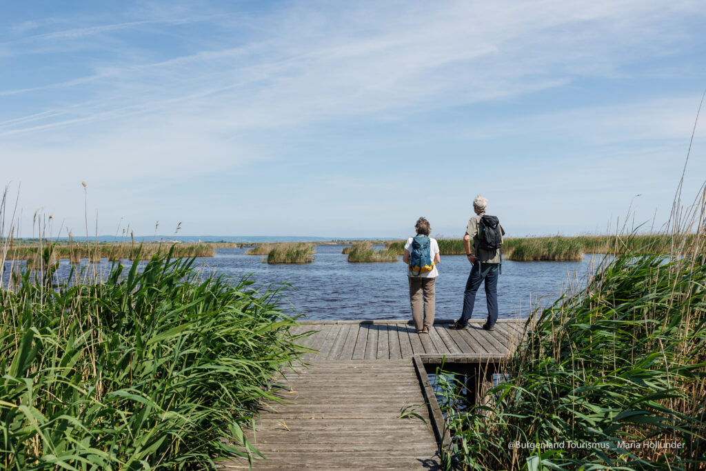 Seehotel Rust, Wandern See, quer, (c)BT Hollunder Maria