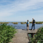 Seehotel Rust, Wandern See, quer, (c)BT Hollunder Maria