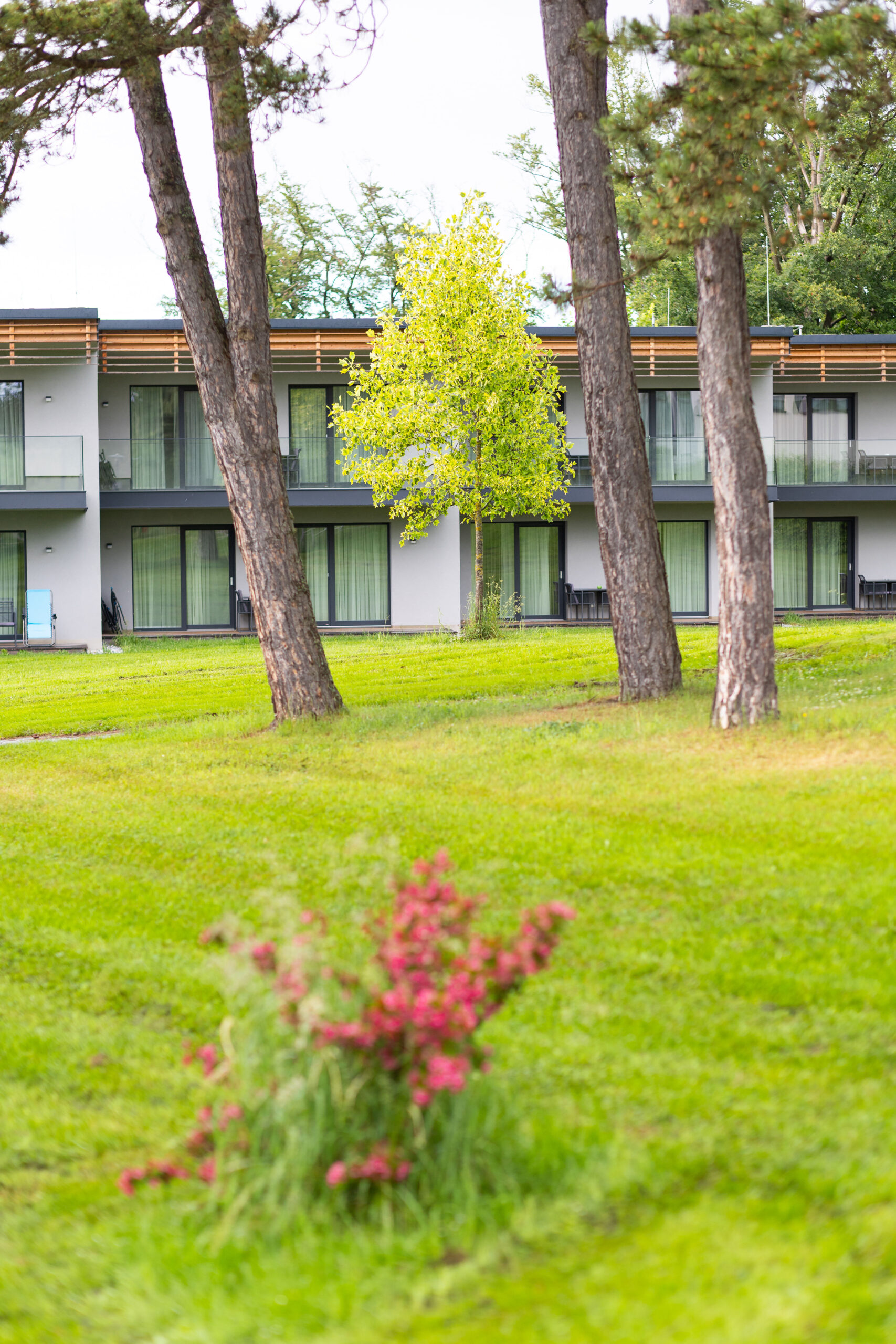 Hotel Ottenstein, Blumen, Park, Hotelfassade; FC Hotel Ottenstein